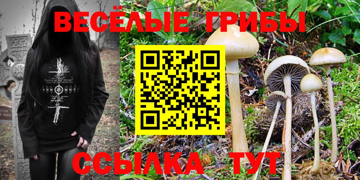 Галлюциногенные грибы Magic Shrooms  Галлюциногенные грибы GOLDEN TEACHER  Жигулёвск 