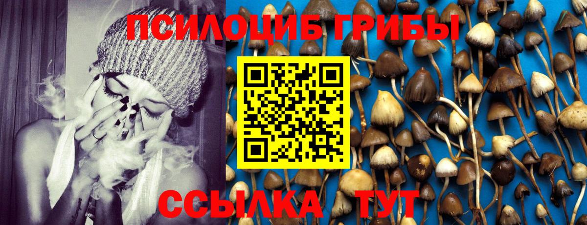 Псилоцибиновые грибы GOLDEN TEACHER Жигулёвск